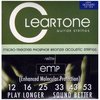 Cleartone Acoustic Guitar