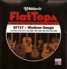 D'Addario EFT17- Flat Tops
