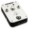 Fishman Aura Sixteen