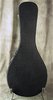 Guardian Mandolin A style