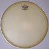 Remo 9 inch Renaissance