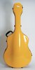 Eastman Fiberglass 17