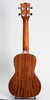 Kala KA-KCG-CT Concert Ukulele