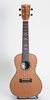 Kala KA-KCG-CT Concert Ukulele