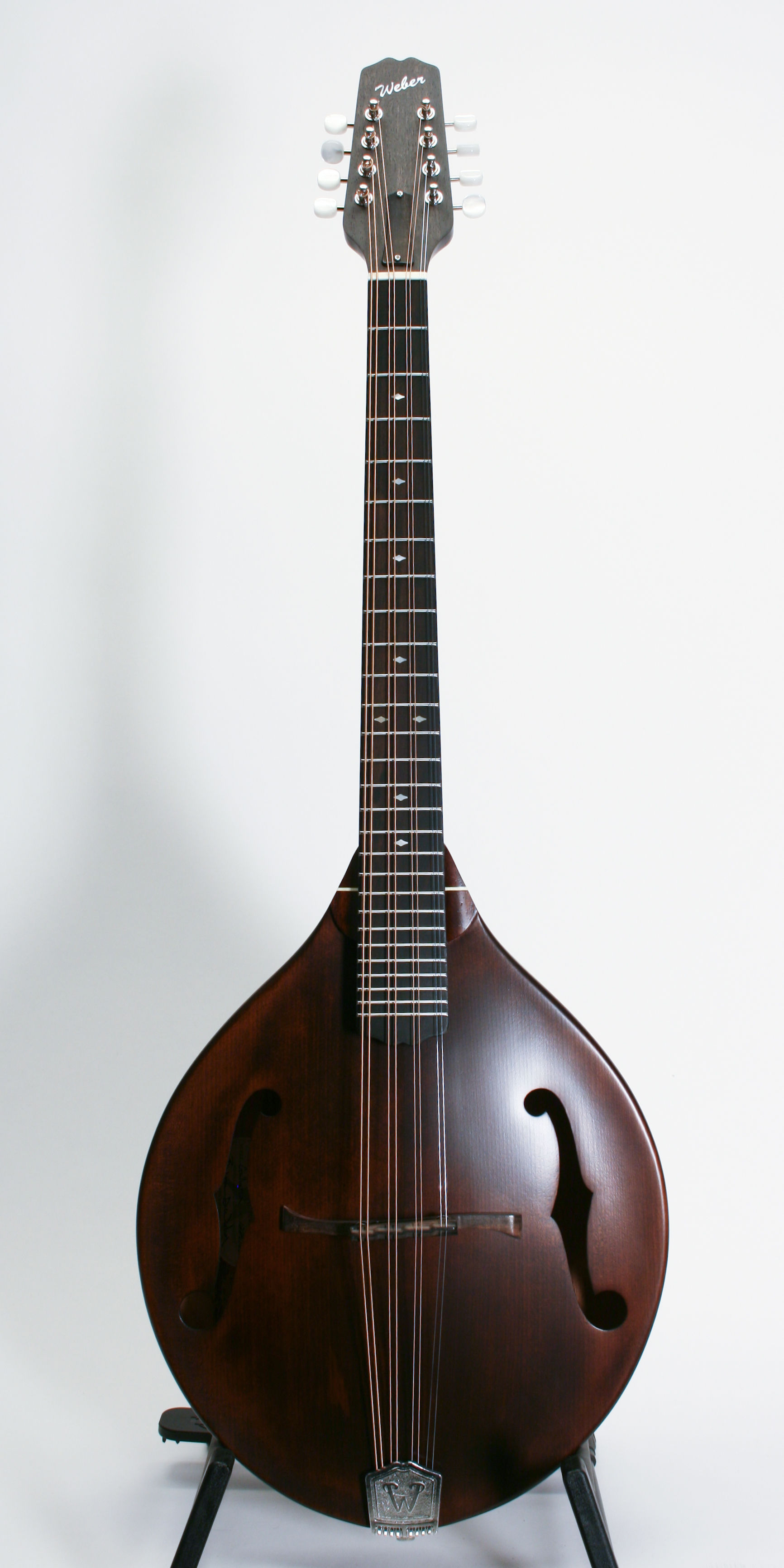1000+ images about Mandolin Family on Pinterest