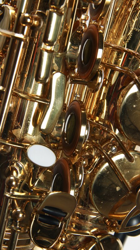 Giardinelli by Eastman GAS10 Alto Saxophone *USED* #5
