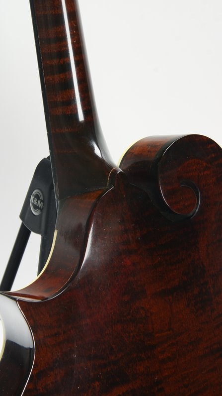 Gibson F5-G #5