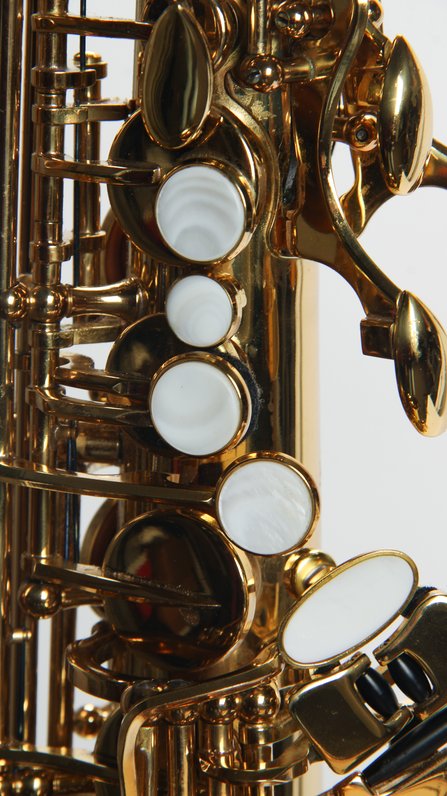 Giardinelli by Eastman GAS10 Alto Saxophone *USED* #8