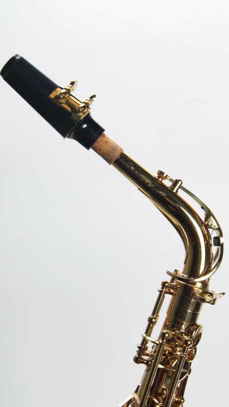 Giardinelli by Eastman GAS10 Alto Saxophone *USED* #9