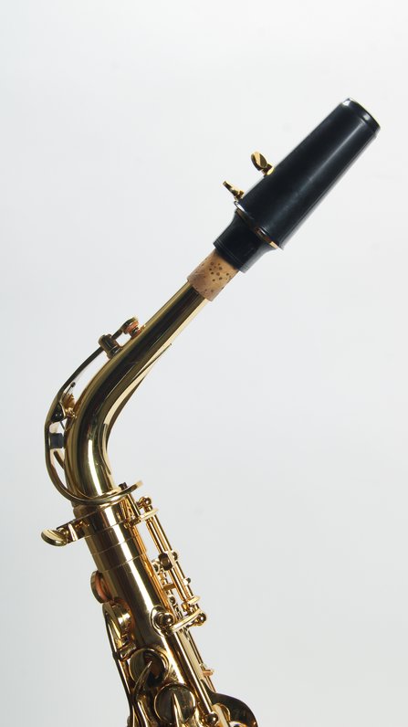 Giardinelli by Eastman GAS10 Alto Saxophone *USED* #10