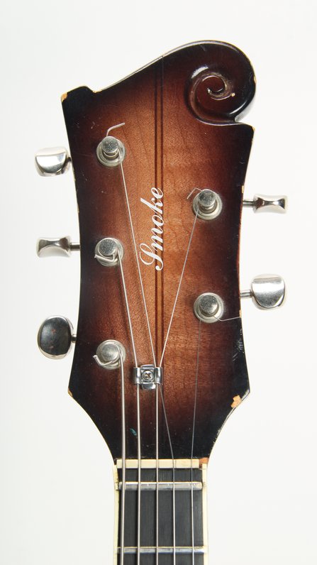 Bob Venn Custom "Smoke" Electric 5 String Mandolin #10