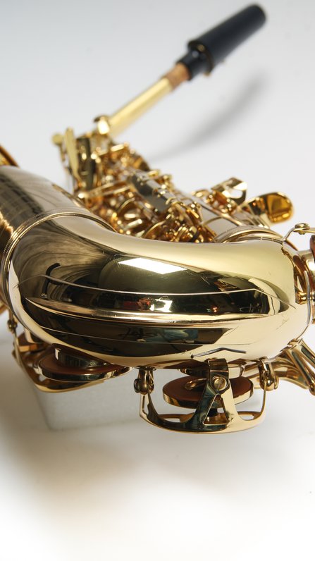 Giardinelli by Eastman GAS10 Alto Saxophone *USED* #11