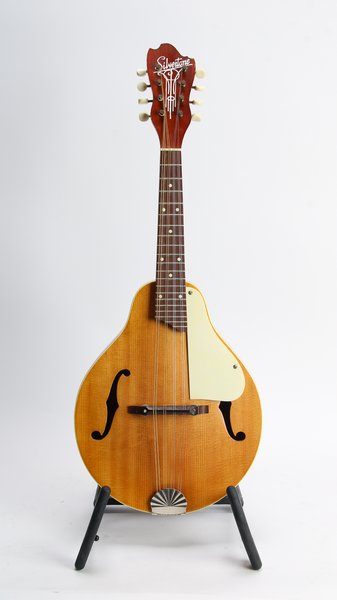 silvertone mandolin