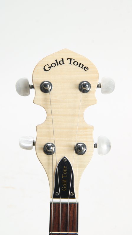 Gold Tone CC-Tenor #5