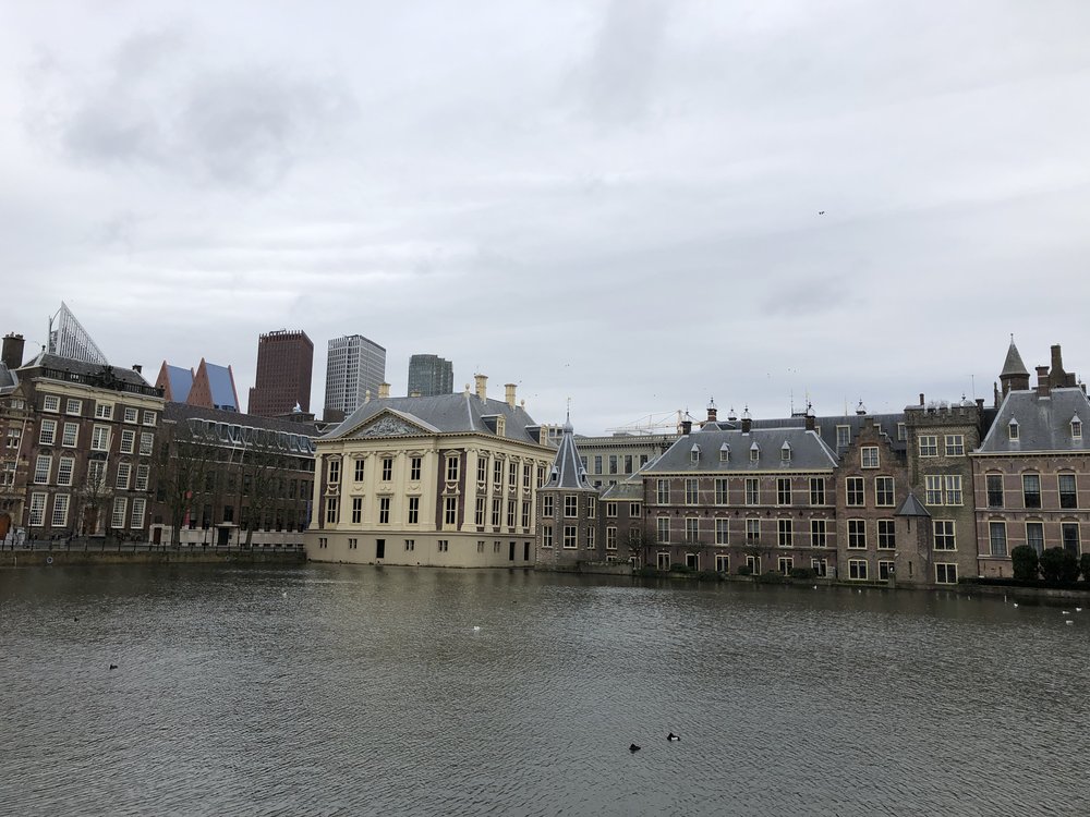 Downtown den Haag