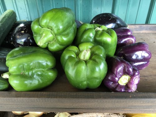 The abundance of local produce has got us cooking all sorts of things. These purple peppers were ...