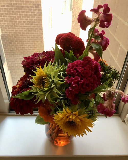 A beautiful bouquet of flowers. These were dropped off by my wonderful sister-in-law Ginny.