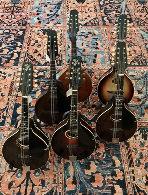 Half dozen "snakehead" mandolins from the Lloyd Loar era....The best selection we’ve ever had.