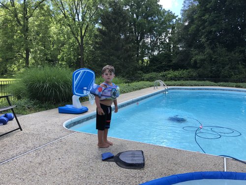 Rocco gave me a lesson on catching bugs around the pool.
