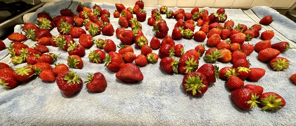 This has been an absolutely banner year for strawberries. I bought 8 quarts and not one single be...