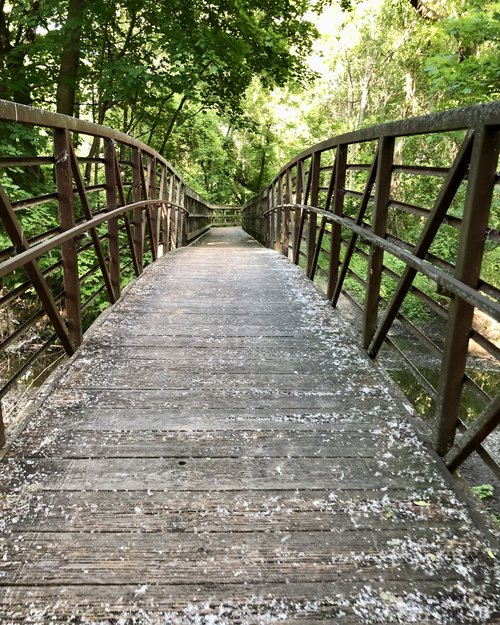 Zooming along the Outlet Trail across this wooden bridge to&nbsp;the baseball fields for Penn Yan...