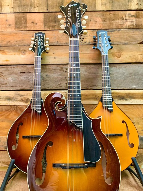 Collings mandolins now in stock.