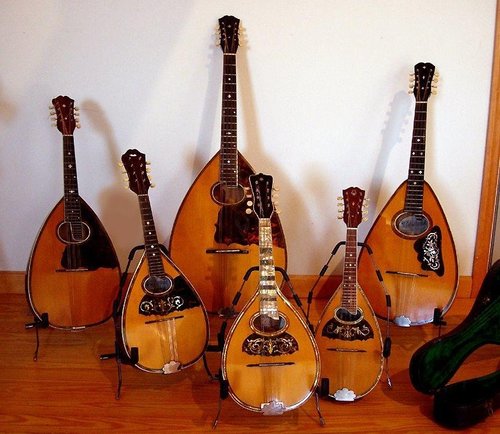 A collection of Larson made mandolin family instruments I purchased about 10 years ago