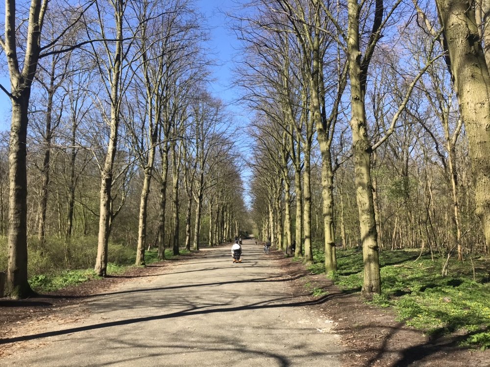 The Scheveningse Bosjes Park