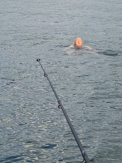 I’ve kept up my fishing every morning and evening from the dock at Keuka Lake. The other evening ...