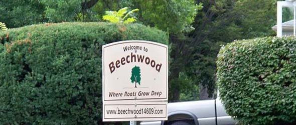 Beechwood....hello!