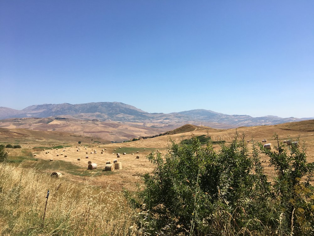 Sicilian countryside