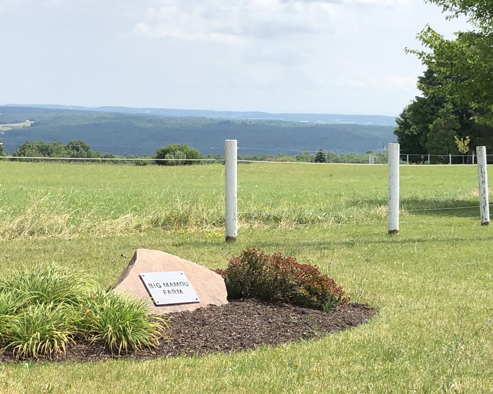 The Farm is perched high up in the hills above Keuka Lake.