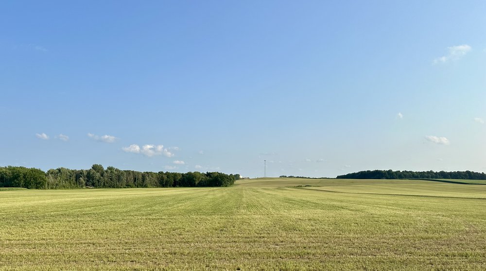 Fresh fields&hellip;.