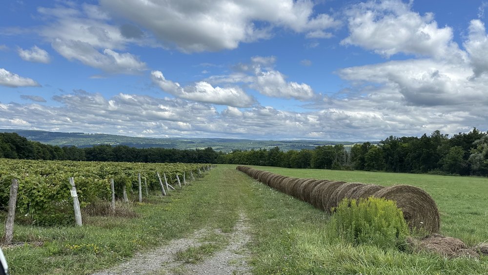 We spent a day winetasting and went to several vineyards, including Dr. Konstantin Frank (now in ...