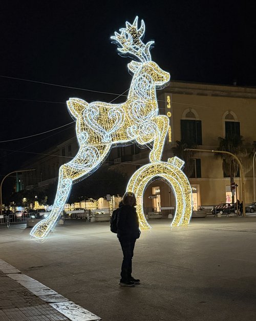 She had to see the reindeer lit up&hellip;