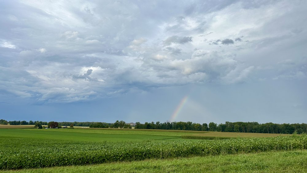 Finger Lakes rambling