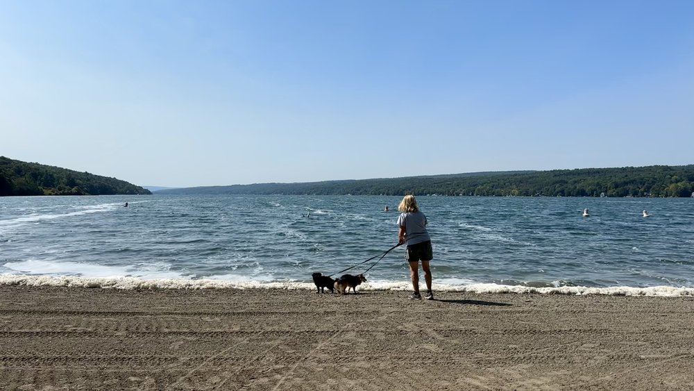 Retirement is a stroll on the beach at the state park windy day