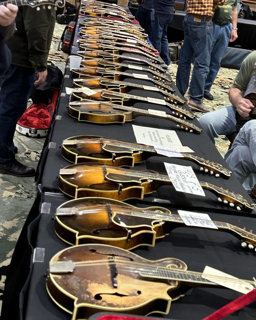 A table of Lloyd Loar mandolins