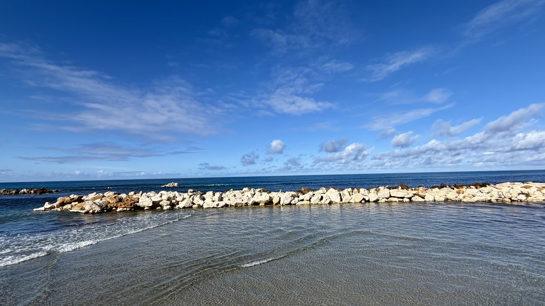 REFLECTIONS ON  COLLECTIONS