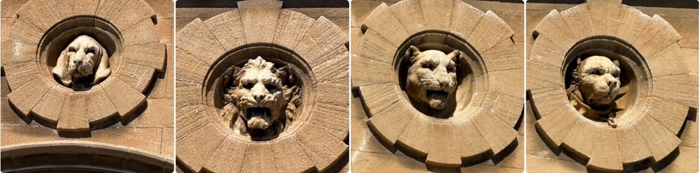 dogs or lions&hellip;