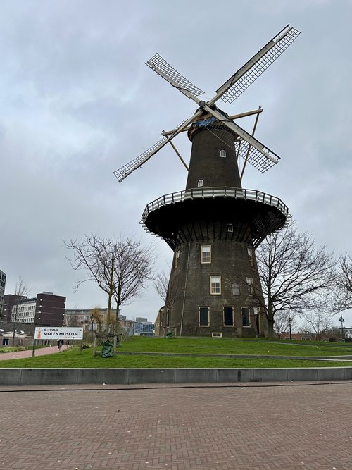 Back to the land of windmills and tulips