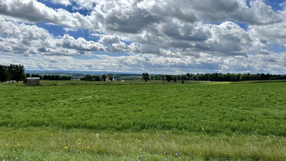 Central NY landscape&nbsp;