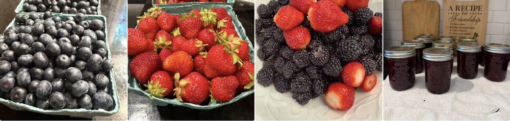 We went berry picking and here is the result&nbsp;