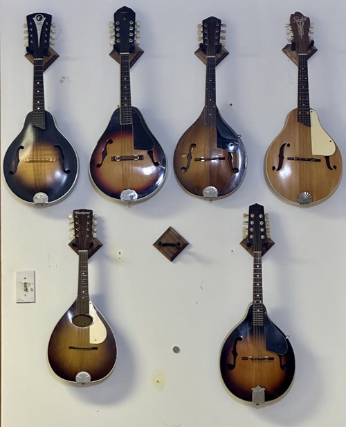 On the way in from Penn Yan on Thursday, we bought a few&nbsp;mandolins!