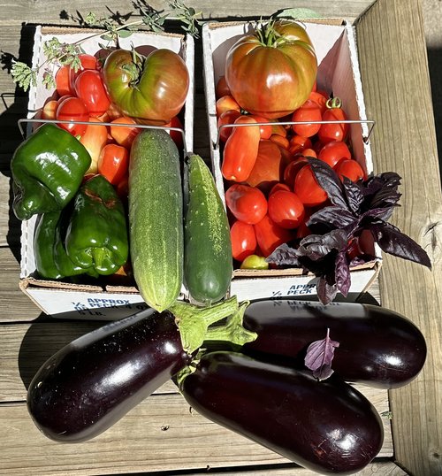 The bounty!&hellip;.will caponata be coming soon?