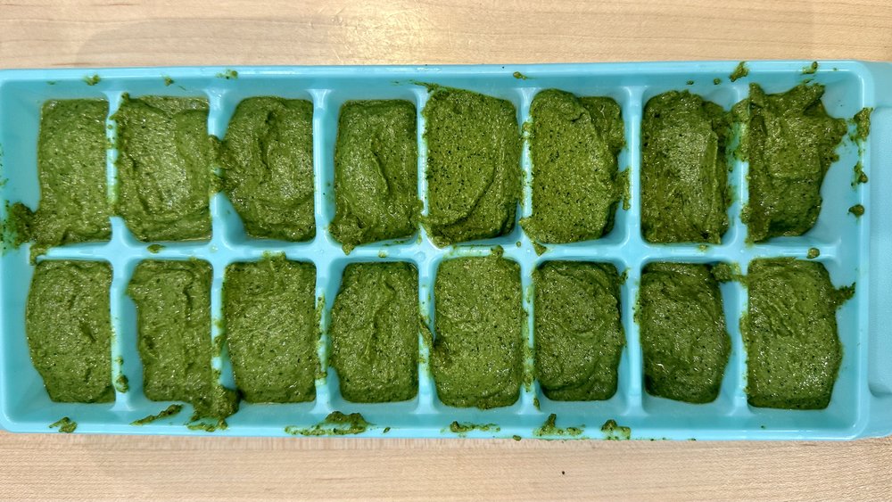 Pesto harvest, &nbsp;yes in ice cube trays.
