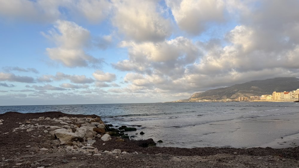 The artwork of the creator!