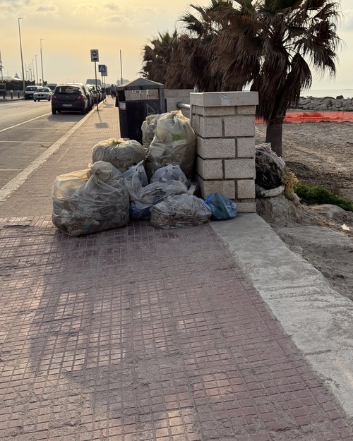 A citizen’s task force has been working constantly to pick up trash that was covering the beach. ...