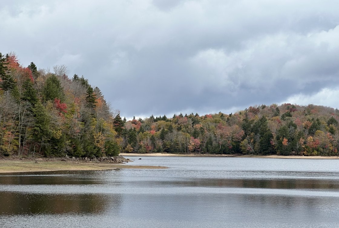 ADIRONDACK BIRTHDAY