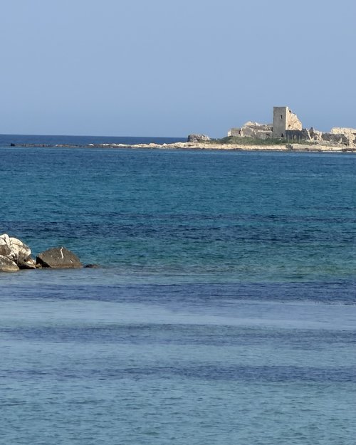 Bird’s nesting place 